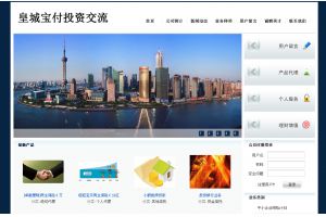皇城寶付投資交流